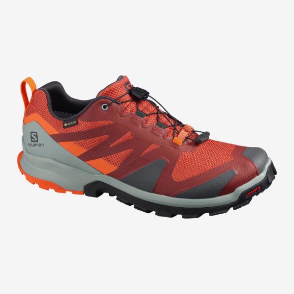 Salomon-XA-Rogg-GTX-67678.jpg